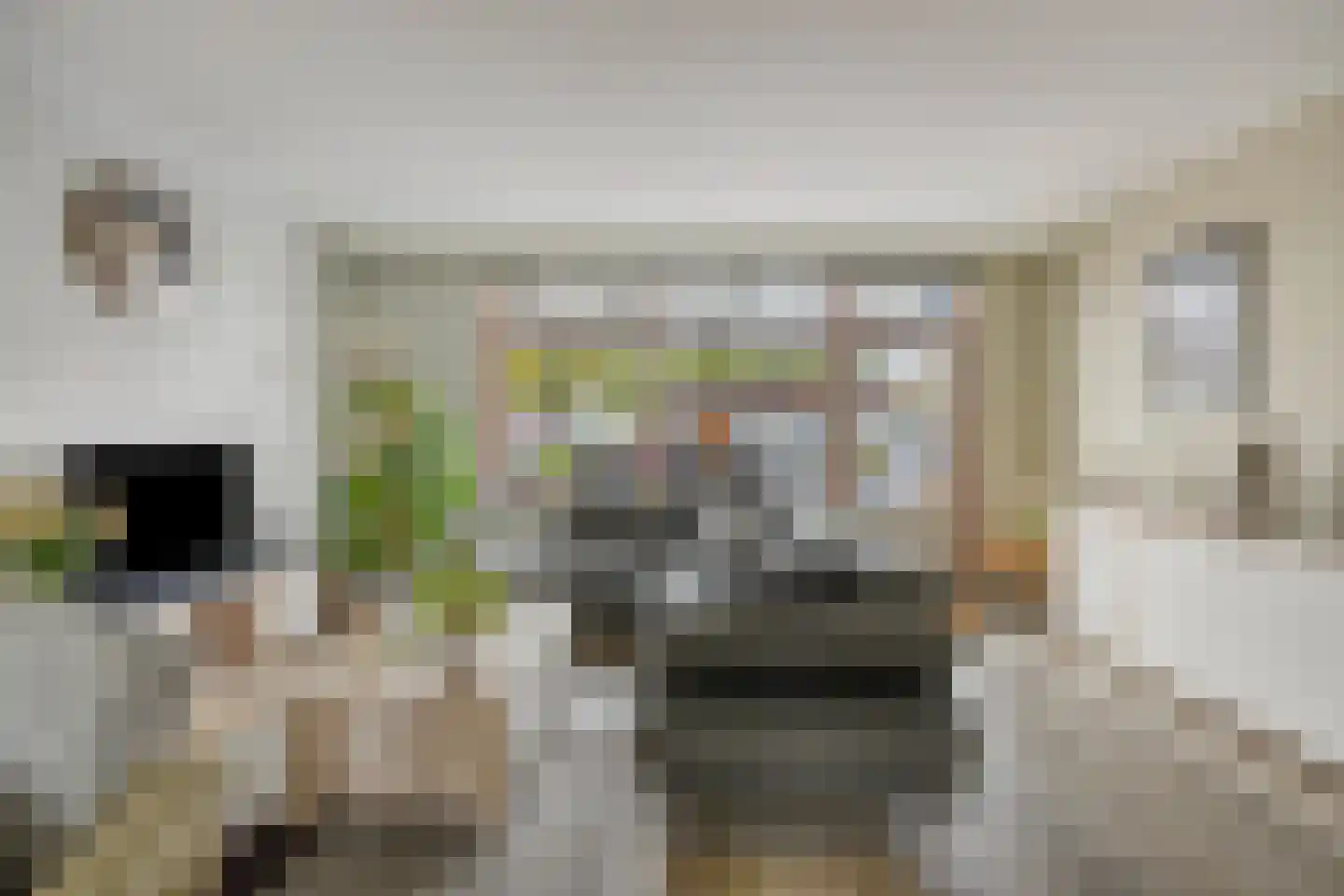 Graspieper 65 Eindhoven thumbnail 9