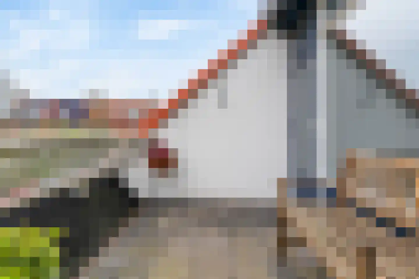 Graspieper 66 Nieuwegein thumbnail 12