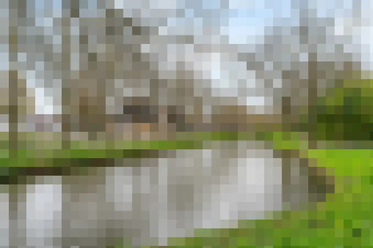 Graspieper 66 Nieuwegein thumbnail 15