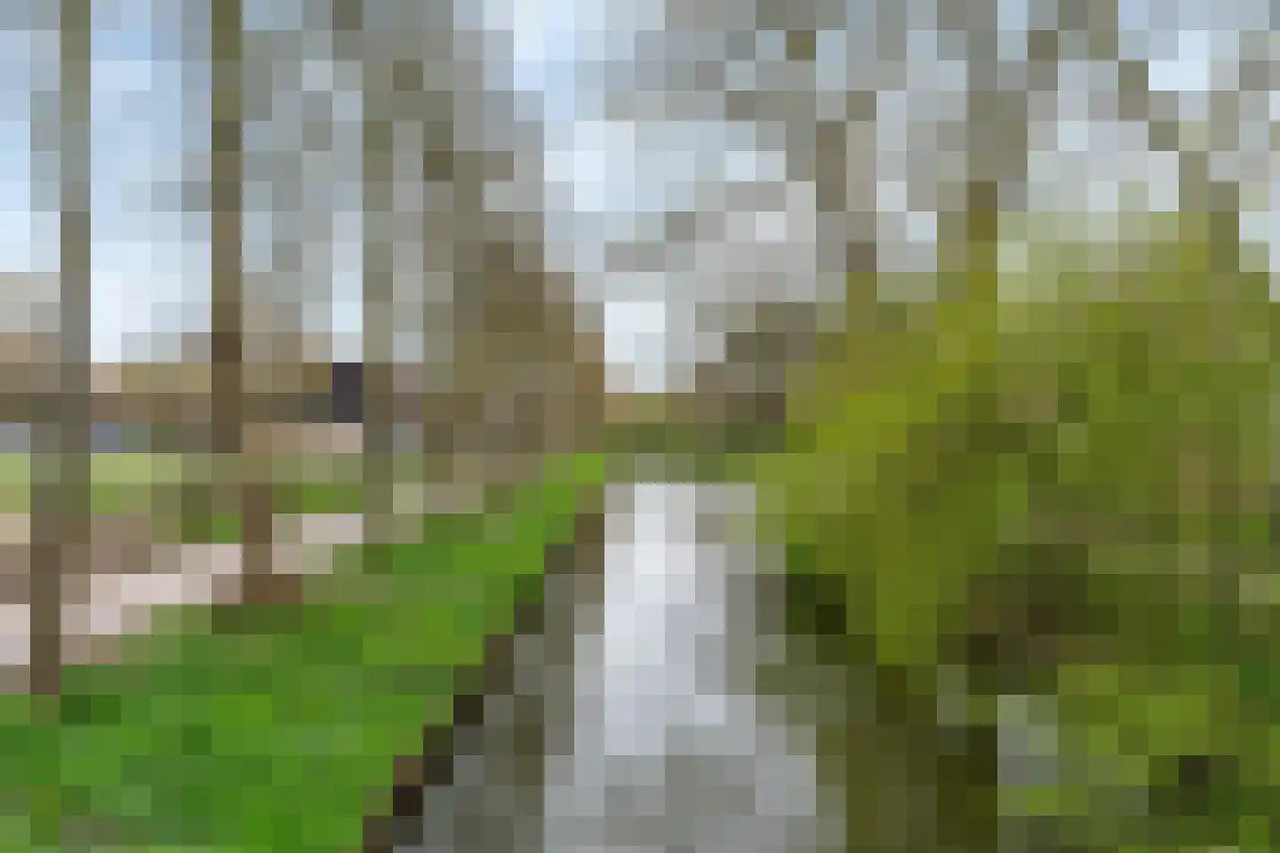 Graspieper 66 Nieuwegein thumbnail 29