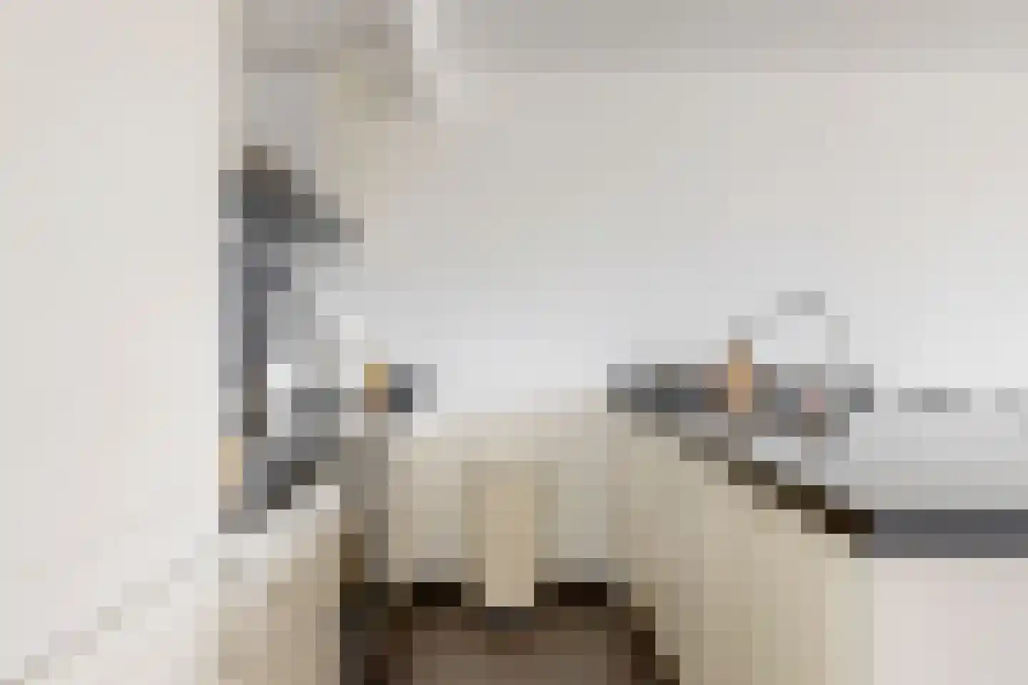 Graspieper 66 Nieuwegein thumbnail 7