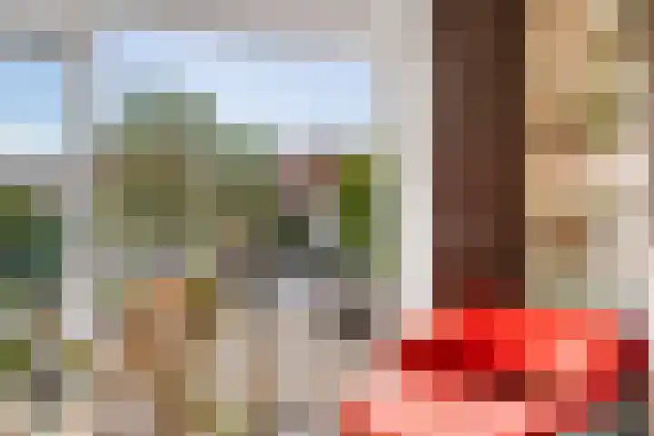 Graspieper 7 Lemmer thumbnail 14