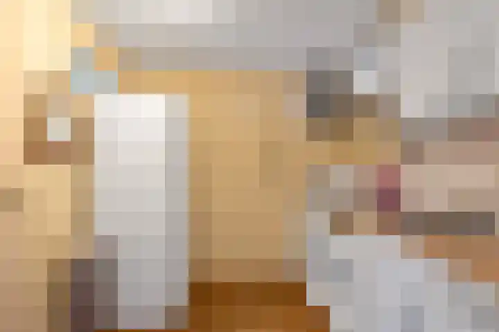 Graspieper 7 Lemmer thumbnail 21