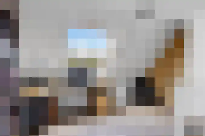 Graspieper 7 Lemmer thumbnail 28