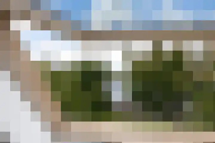 Graspieper 7 Lemmer thumbnail 30