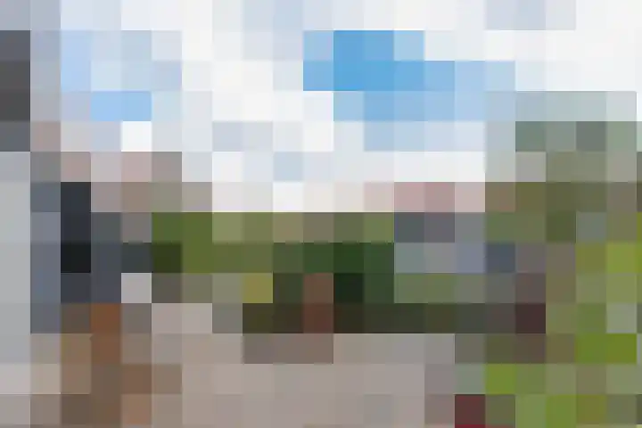 Graspieper 7 Lemmer thumbnail 34