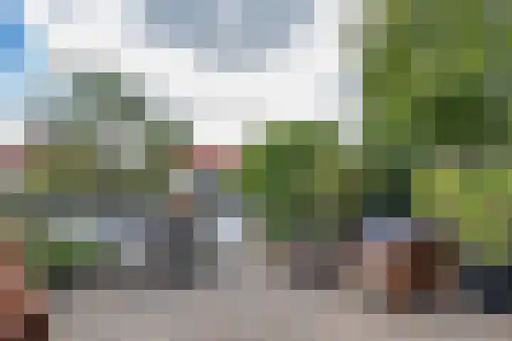 Graspieper 7 Lemmer thumbnail 35