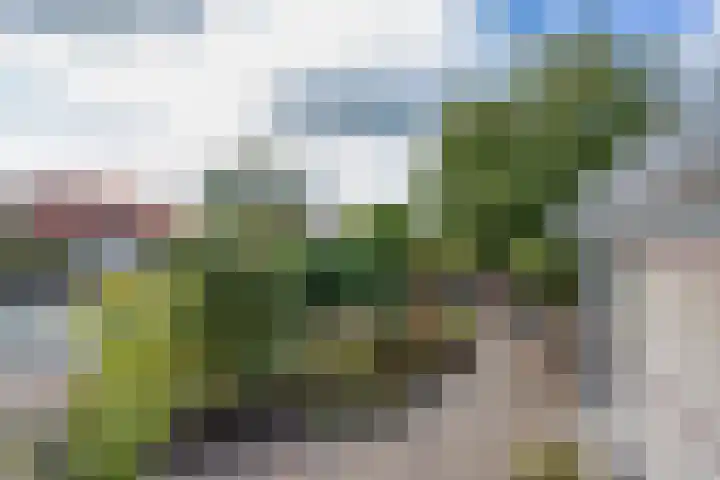 Graspieper 7 Lemmer thumbnail 36
