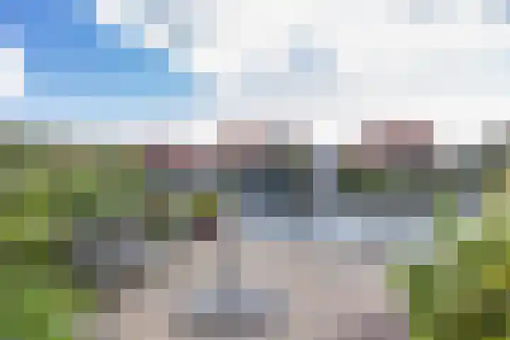 Graspieper 7 Lemmer thumbnail 37
