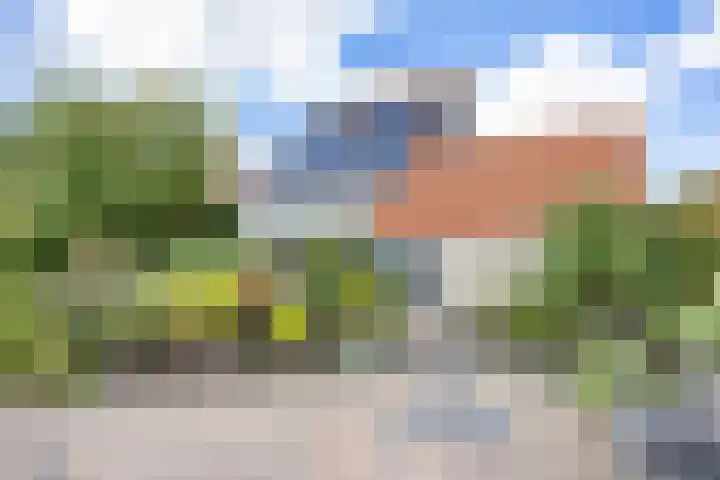 Graspieper 7 Lemmer thumbnail 39