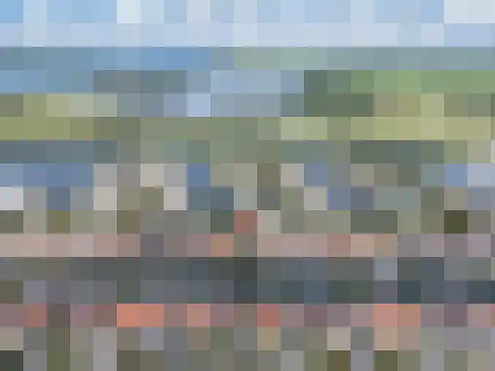 Graspieper 7 Lemmer thumbnail 4