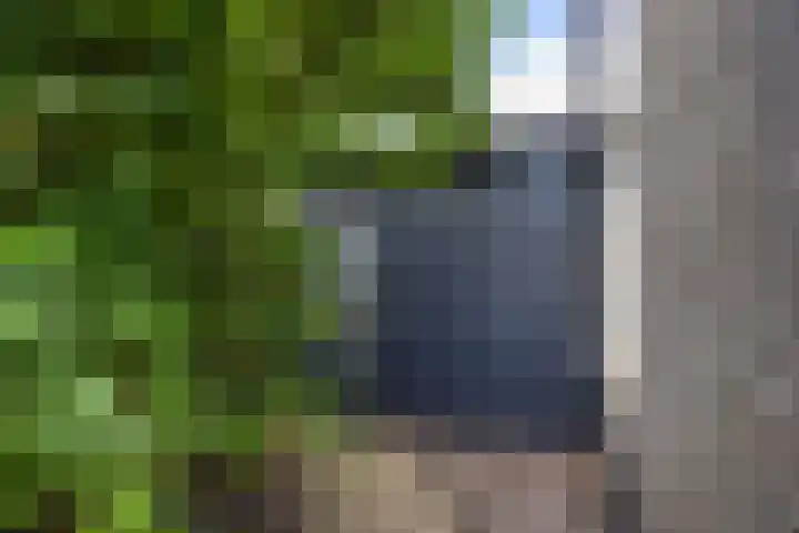 Graspieper 7 Lemmer thumbnail 41
