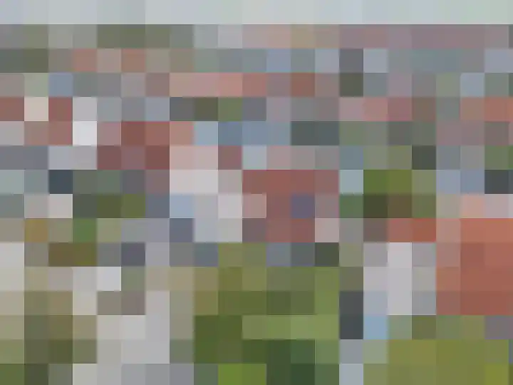 Graspieper 7 Lemmer thumbnail 5