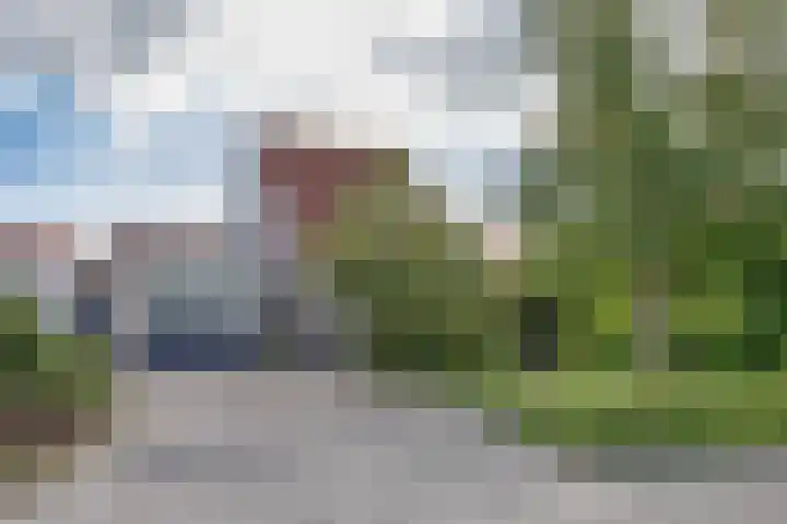 Graspieper 7 Lemmer thumbnail 6
