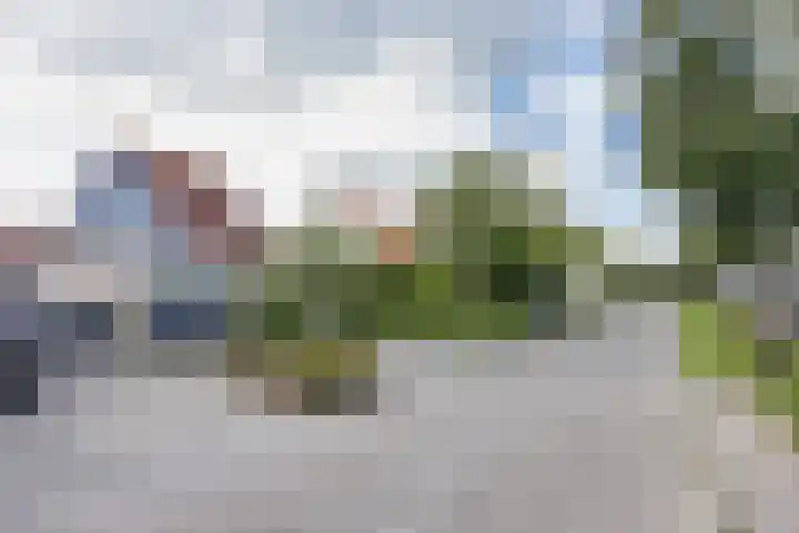 Graspieper 7 Lemmer thumbnail 7