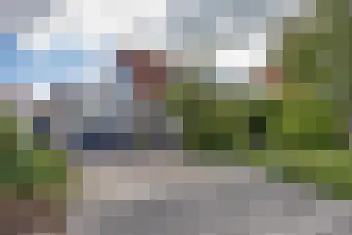 Graspieper 7 Lemmer thumbnail 8