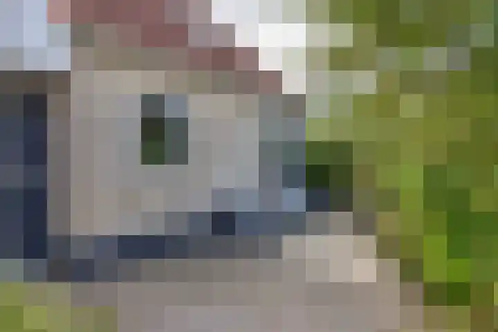 Graspieper 7 Lemmer thumbnail 9