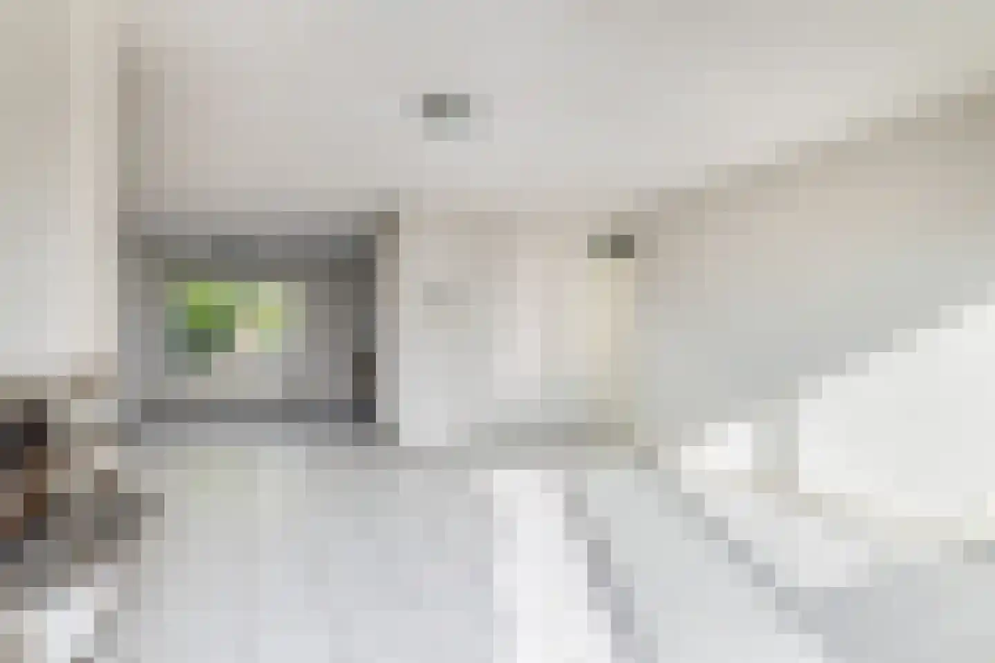 Graspieper 8 Lemmer thumbnail 11
