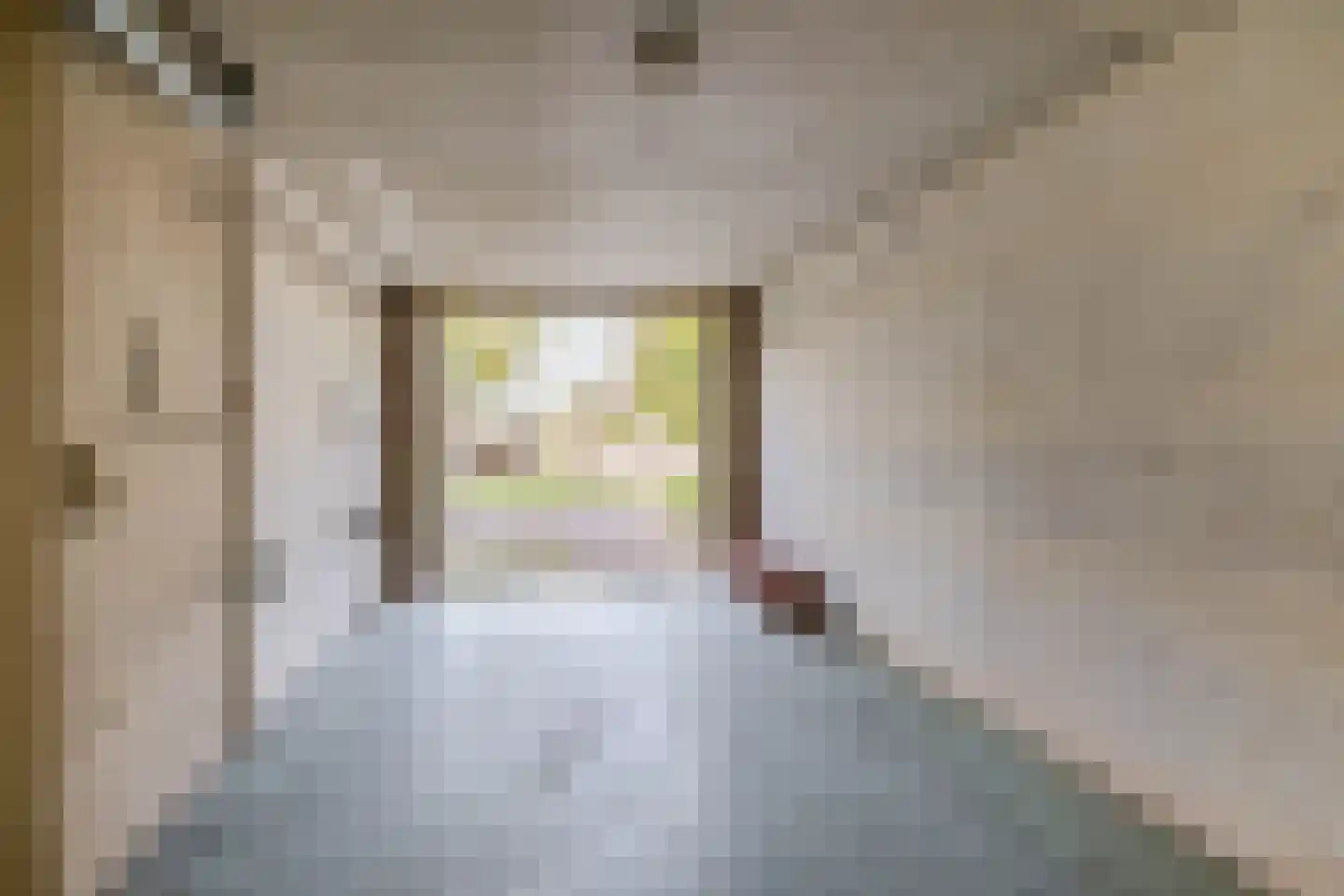 Graspieper 8 Lemmer thumbnail 23