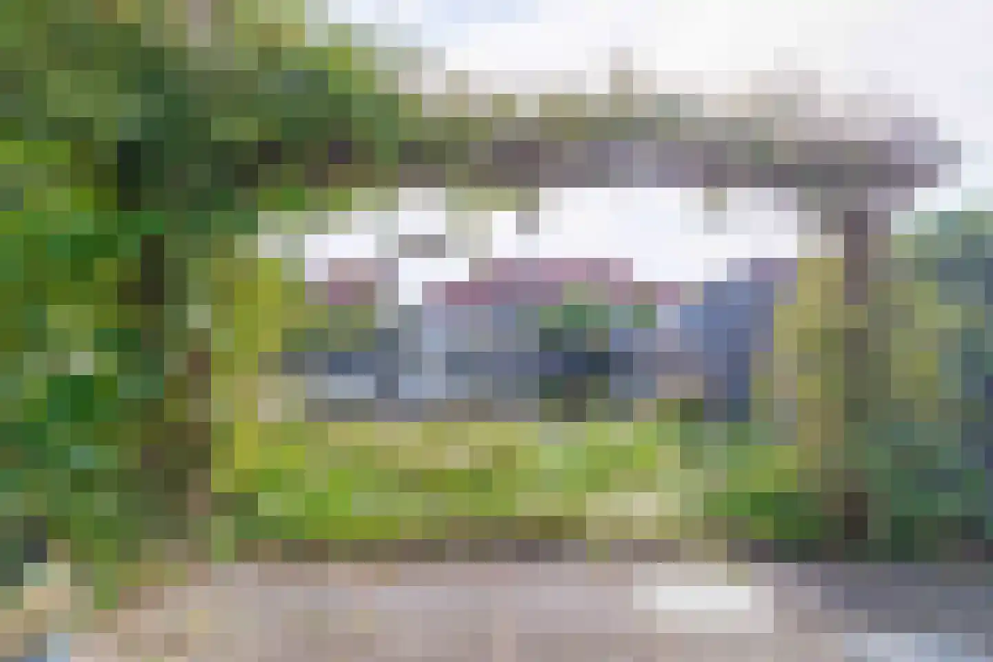 Graspieper 8 Lemmer thumbnail 26