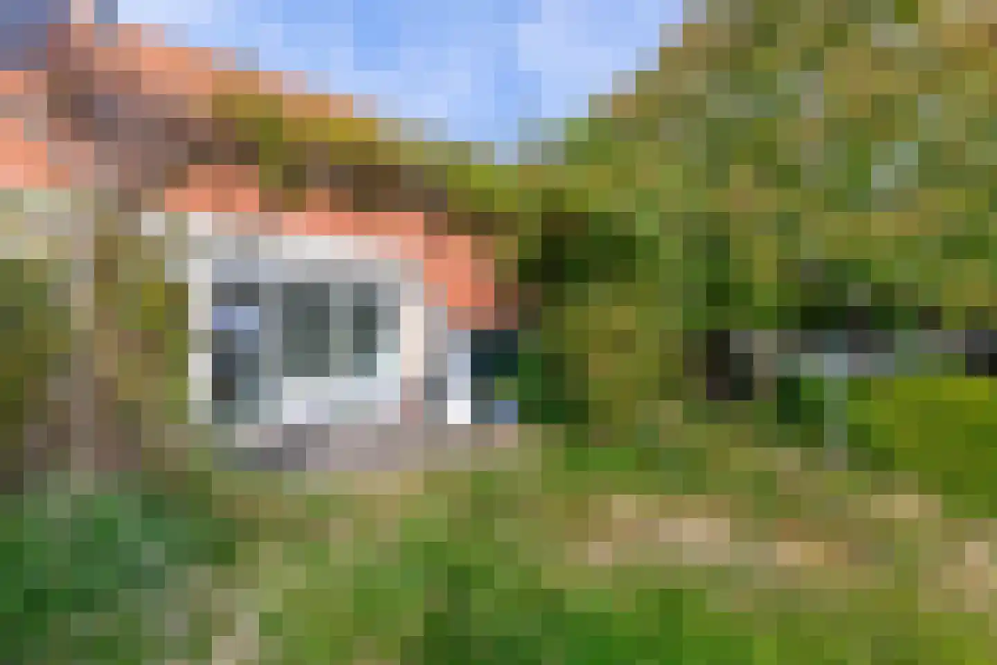 Graspieper 8 Lemmer thumbnail 27