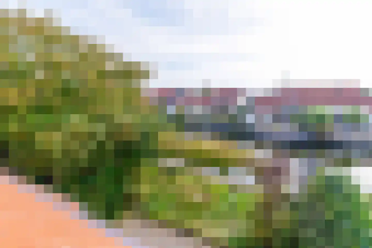Graspieper 8 Lemmer thumbnail 29