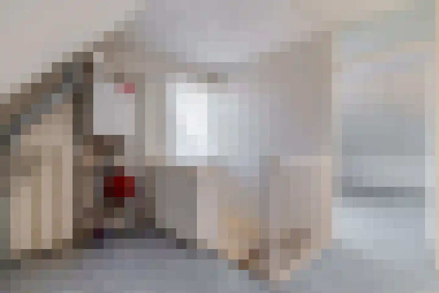 Graspieper 8 Lemmer thumbnail 30