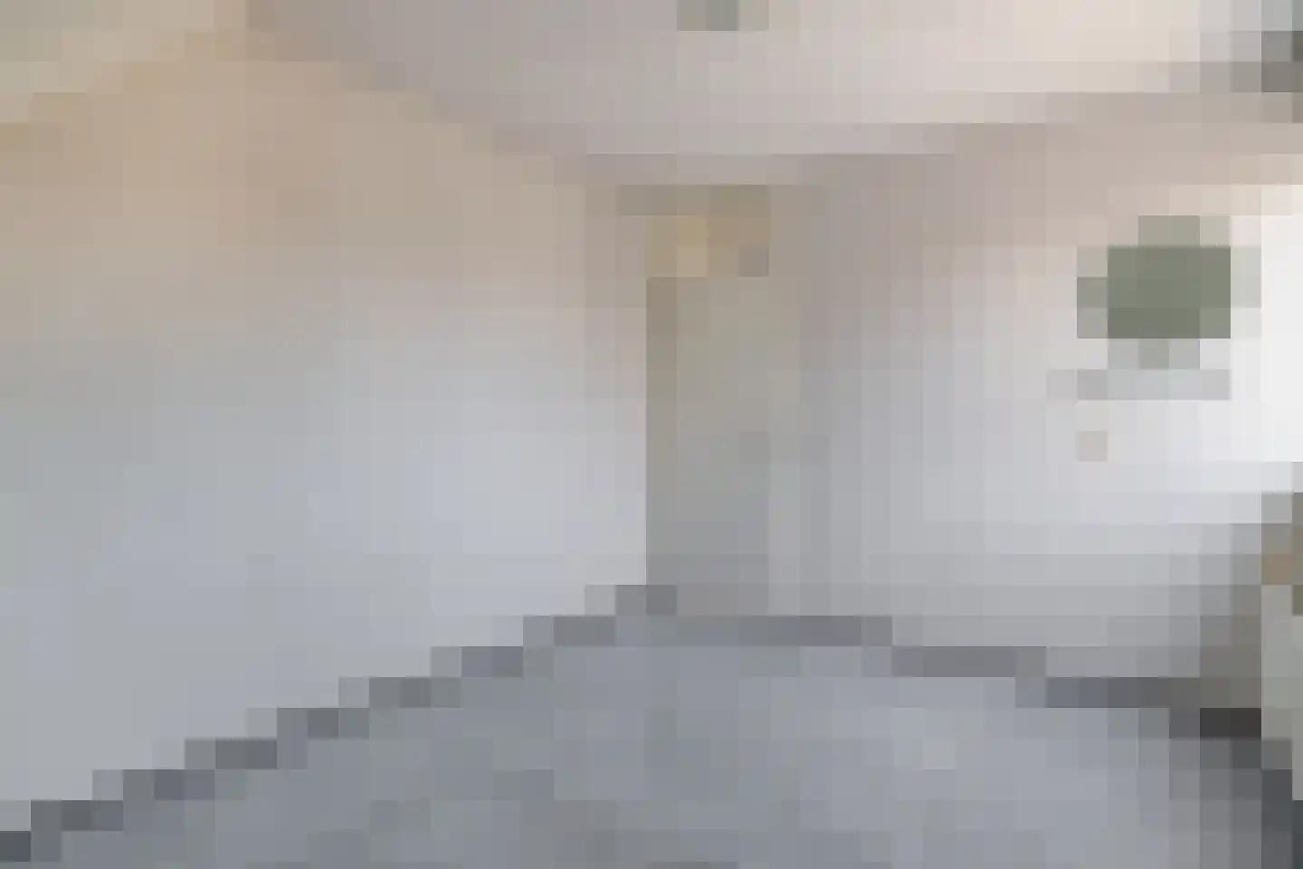 Graspieper 8 Lemmer thumbnail 31