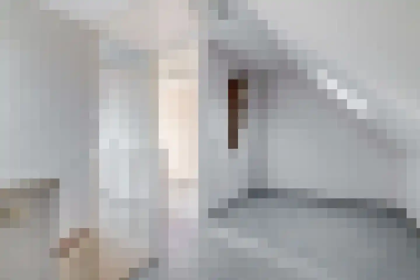 Graspieper 8 Lemmer thumbnail 33
