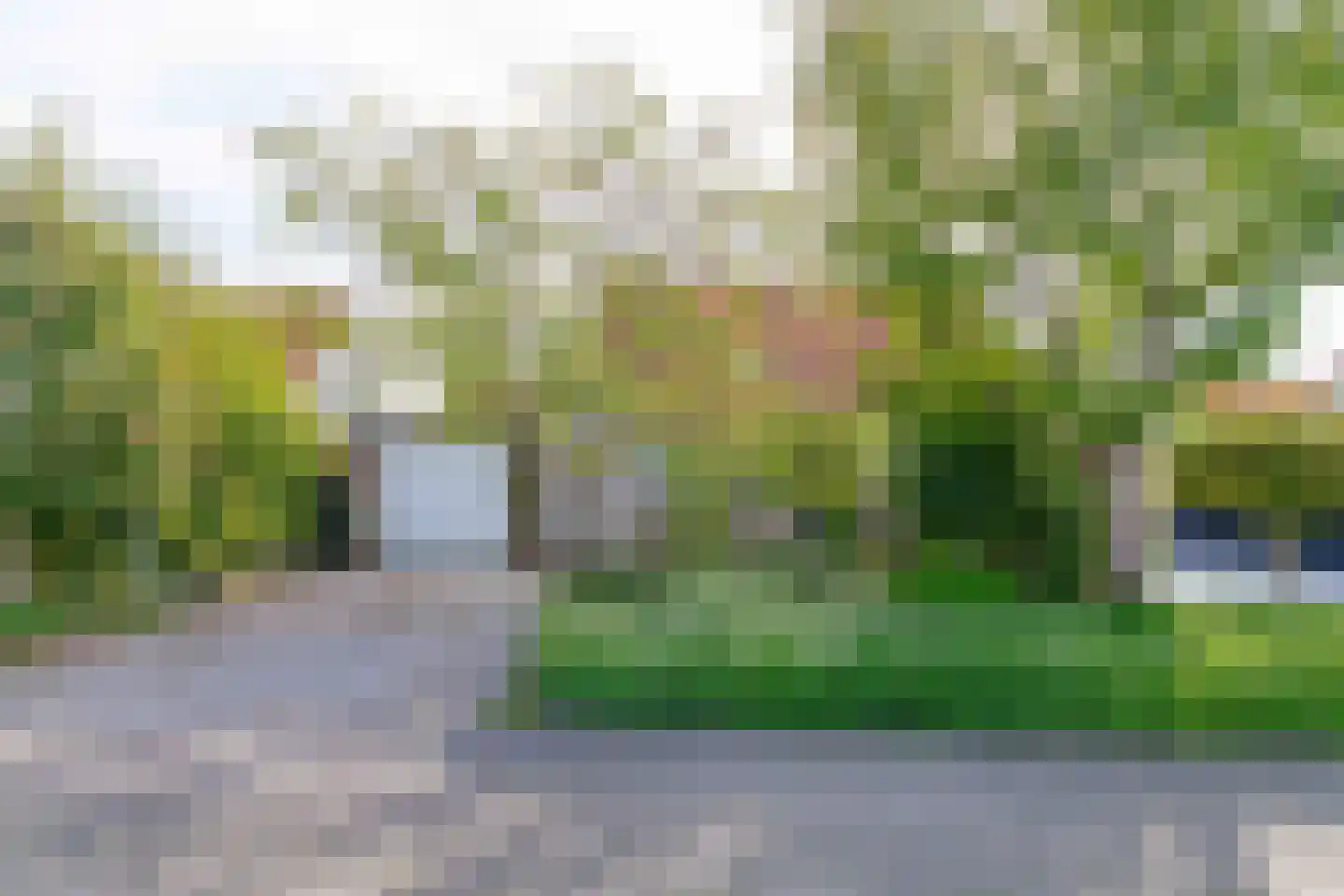 Graspieper 8 Lemmer thumbnail 35