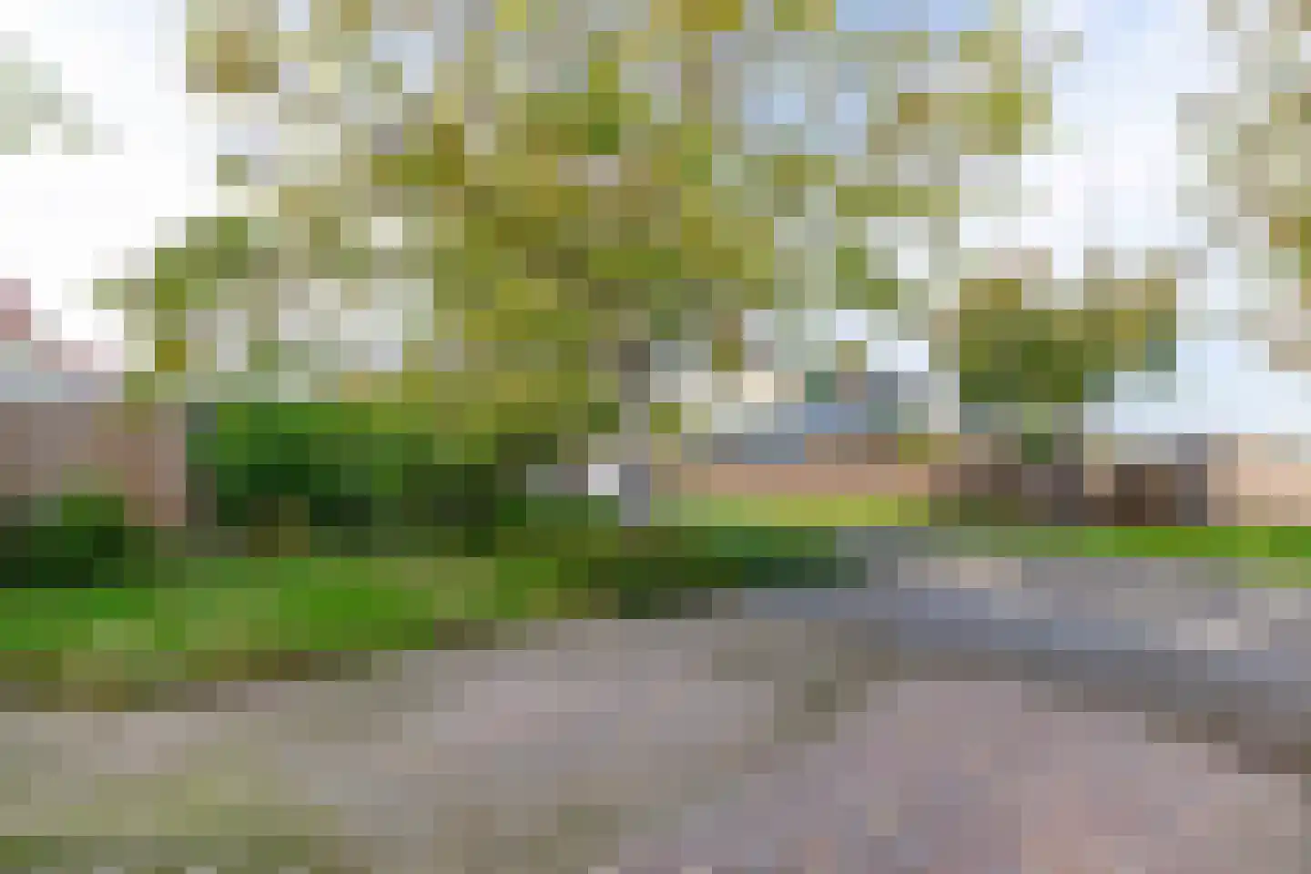 Graspieper 8 Lemmer thumbnail 36