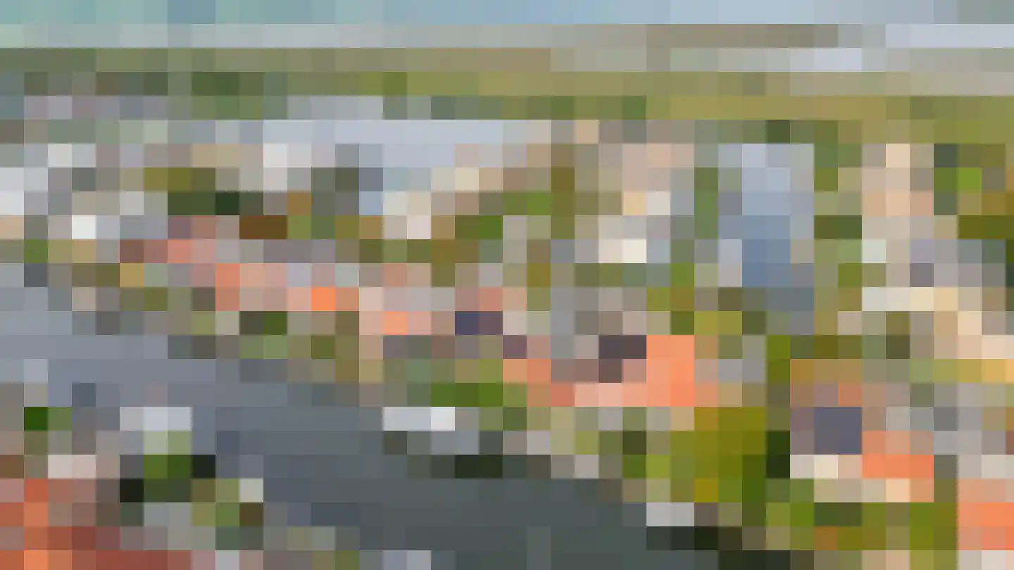Graspieper 8 Lemmer thumbnail 38