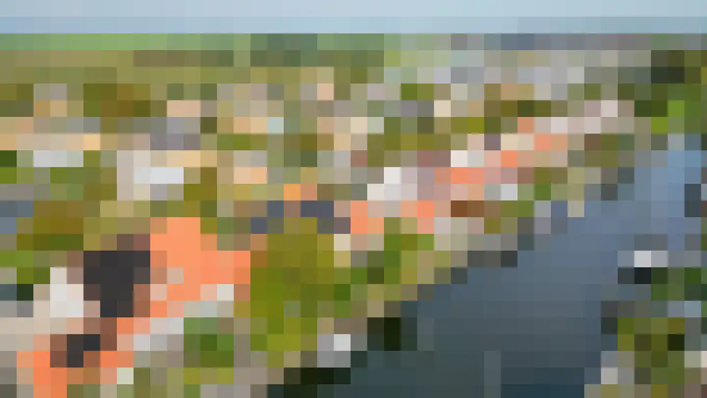 Graspieper 8 Lemmer thumbnail 40
