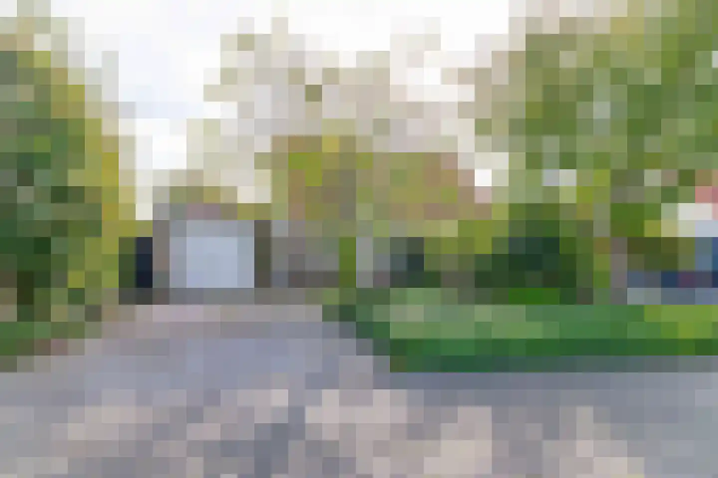 Graspieper 8 Lemmer thumbnail 6