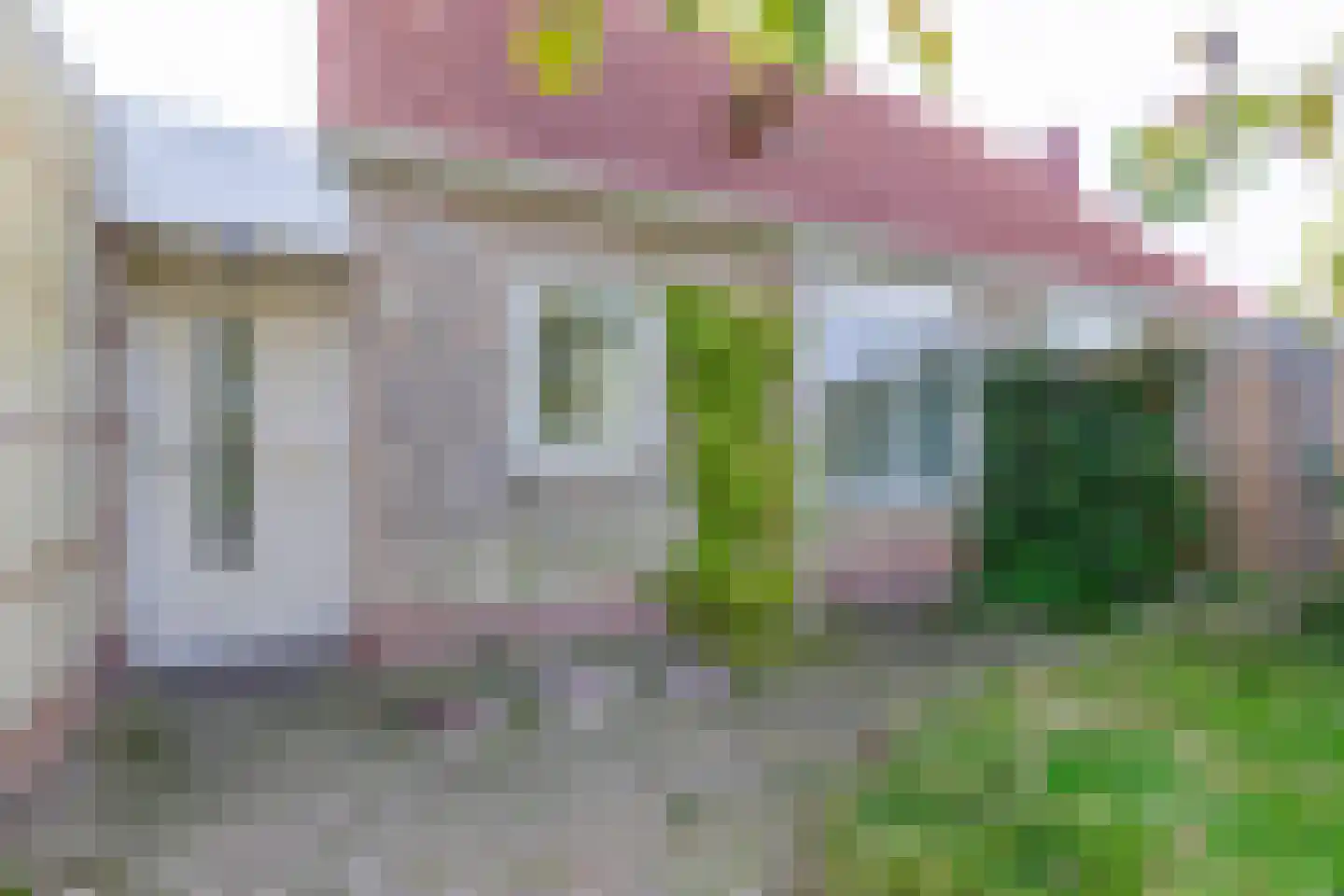 Graspieper 8 Lemmer thumbnail 7