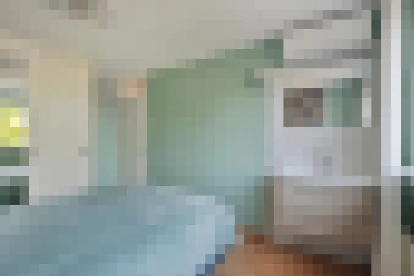 Graspieper 84 A IJsselmuiden thumbnail 31