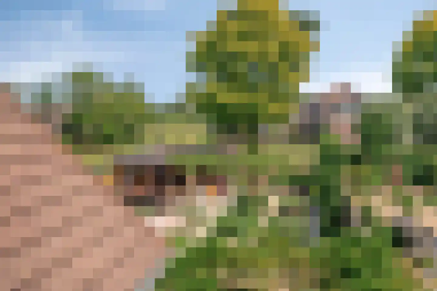 Graspieper 84 A IJsselmuiden thumbnail 32