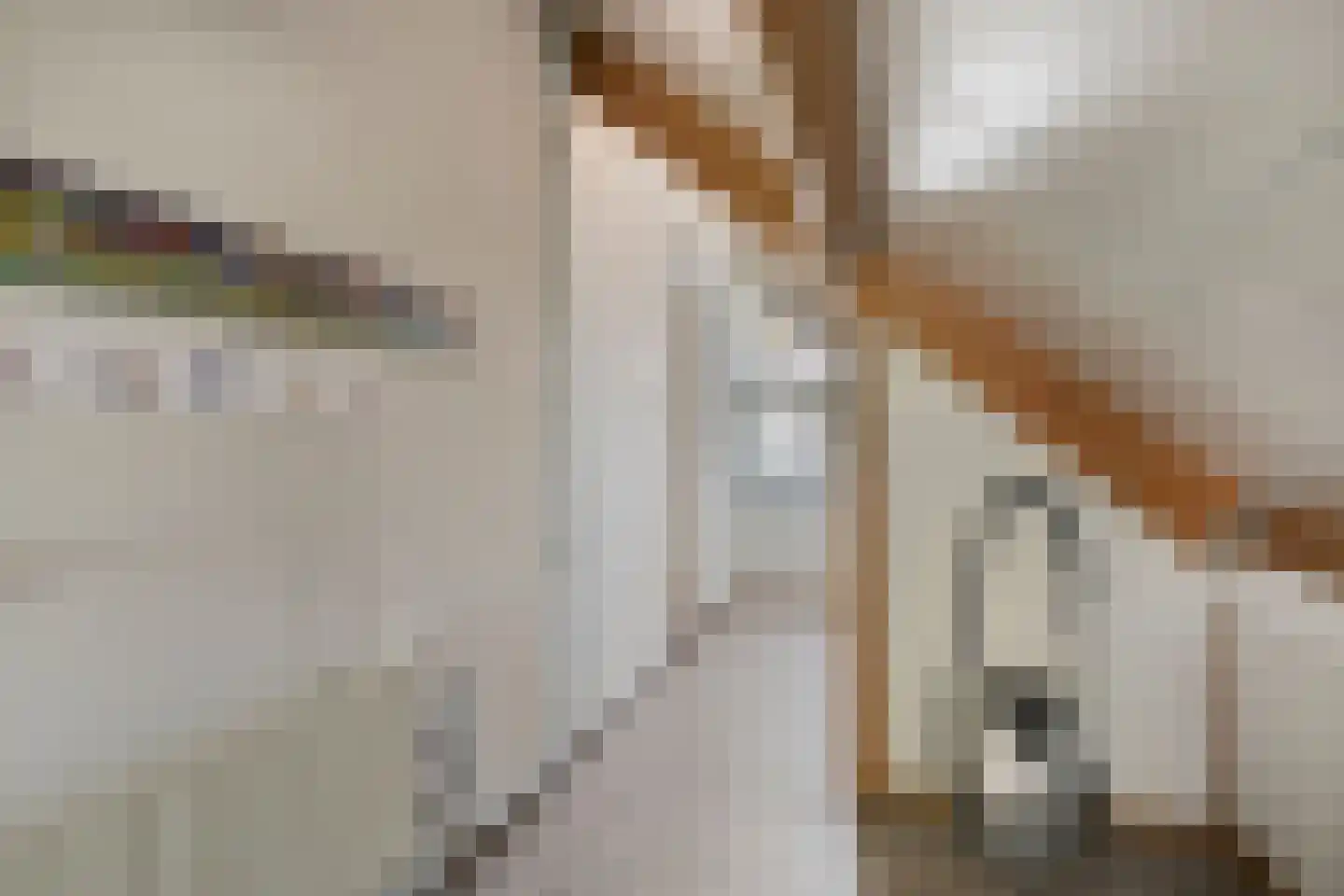 Graspieper 84 A IJsselmuiden thumbnail 41