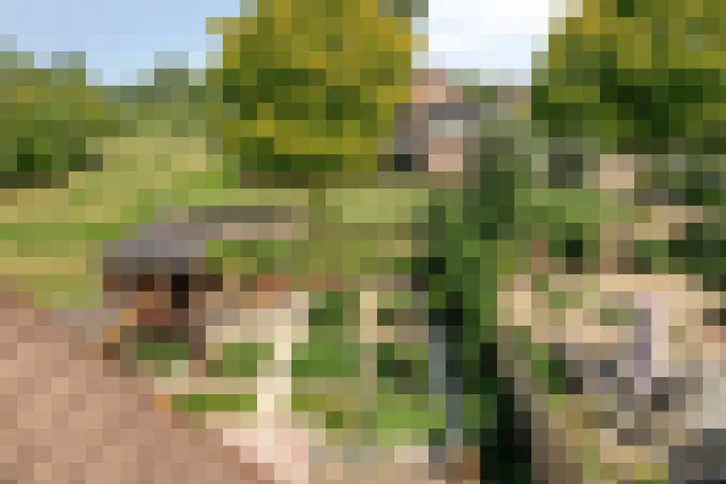 Graspieper 84 A IJsselmuiden thumbnail 49