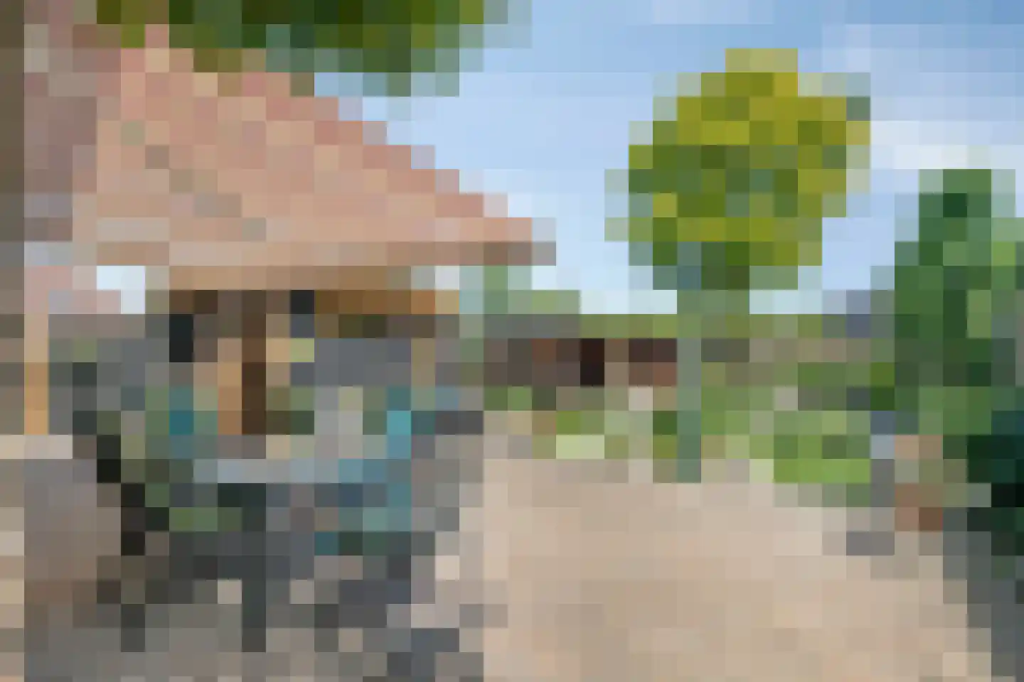 Graspieper 84 A IJsselmuiden thumbnail 52