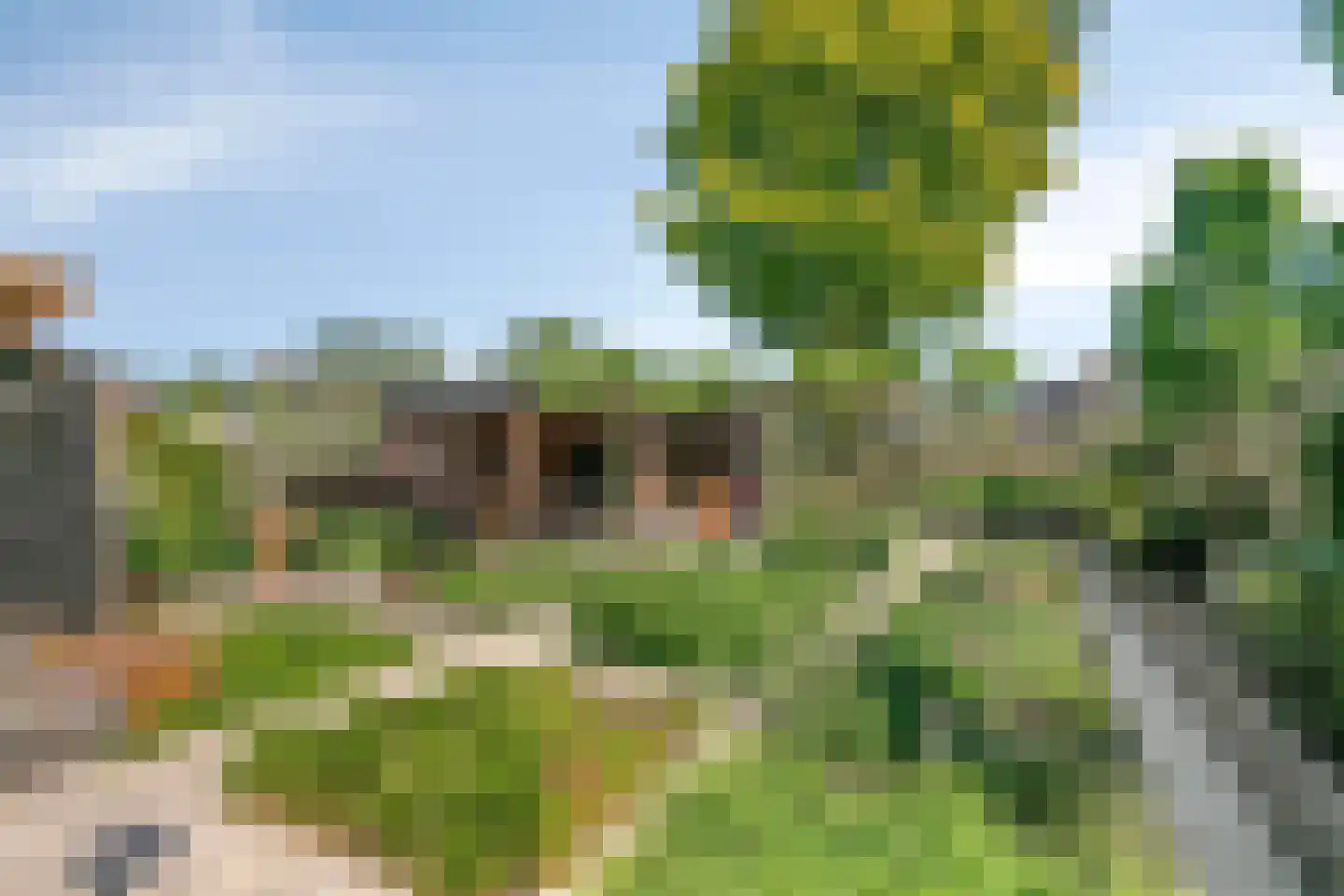 Graspieper 84 A IJsselmuiden thumbnail 56