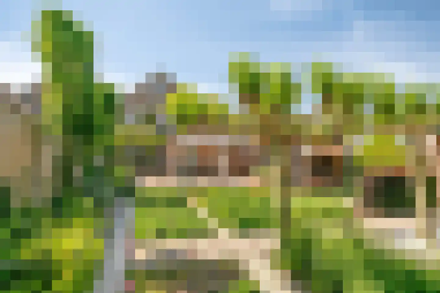 Graspieper 84 A IJsselmuiden thumbnail 61