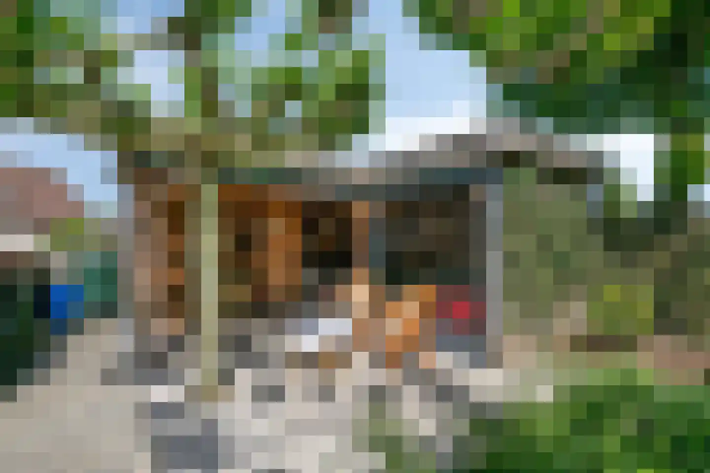 Graspieper 84 A IJsselmuiden thumbnail 62