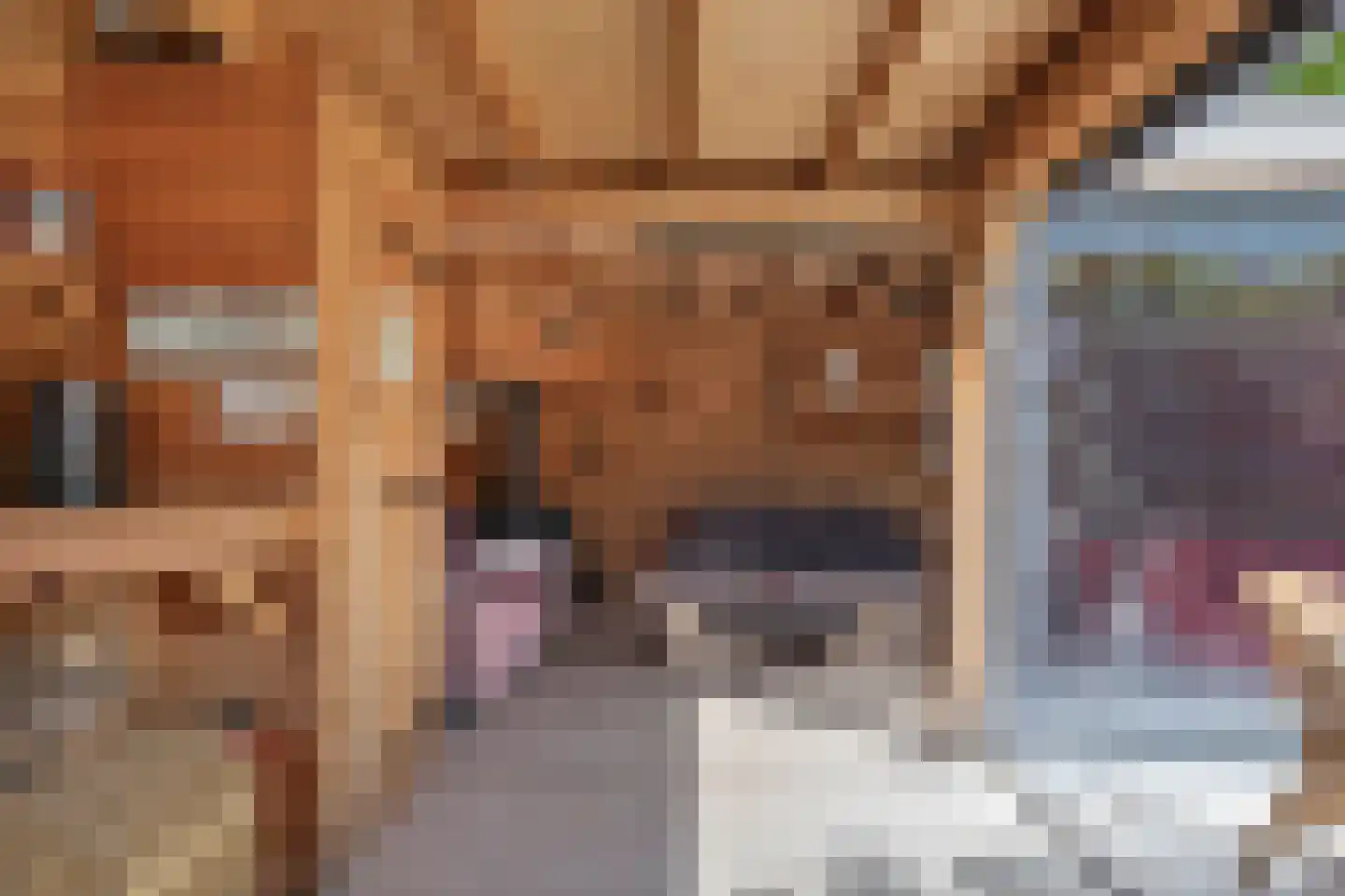 Graspieper 84 A IJsselmuiden thumbnail 63