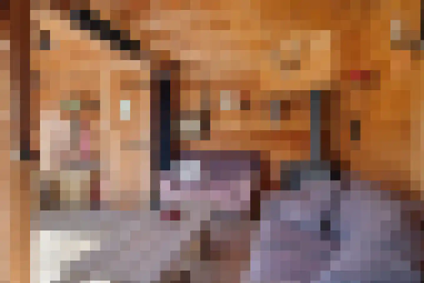Graspieper 84 A IJsselmuiden thumbnail 67