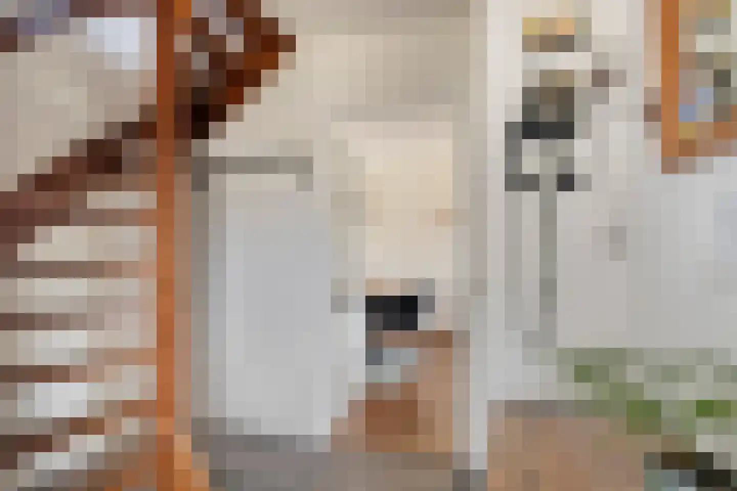 Graspieper 84 A IJsselmuiden thumbnail 7