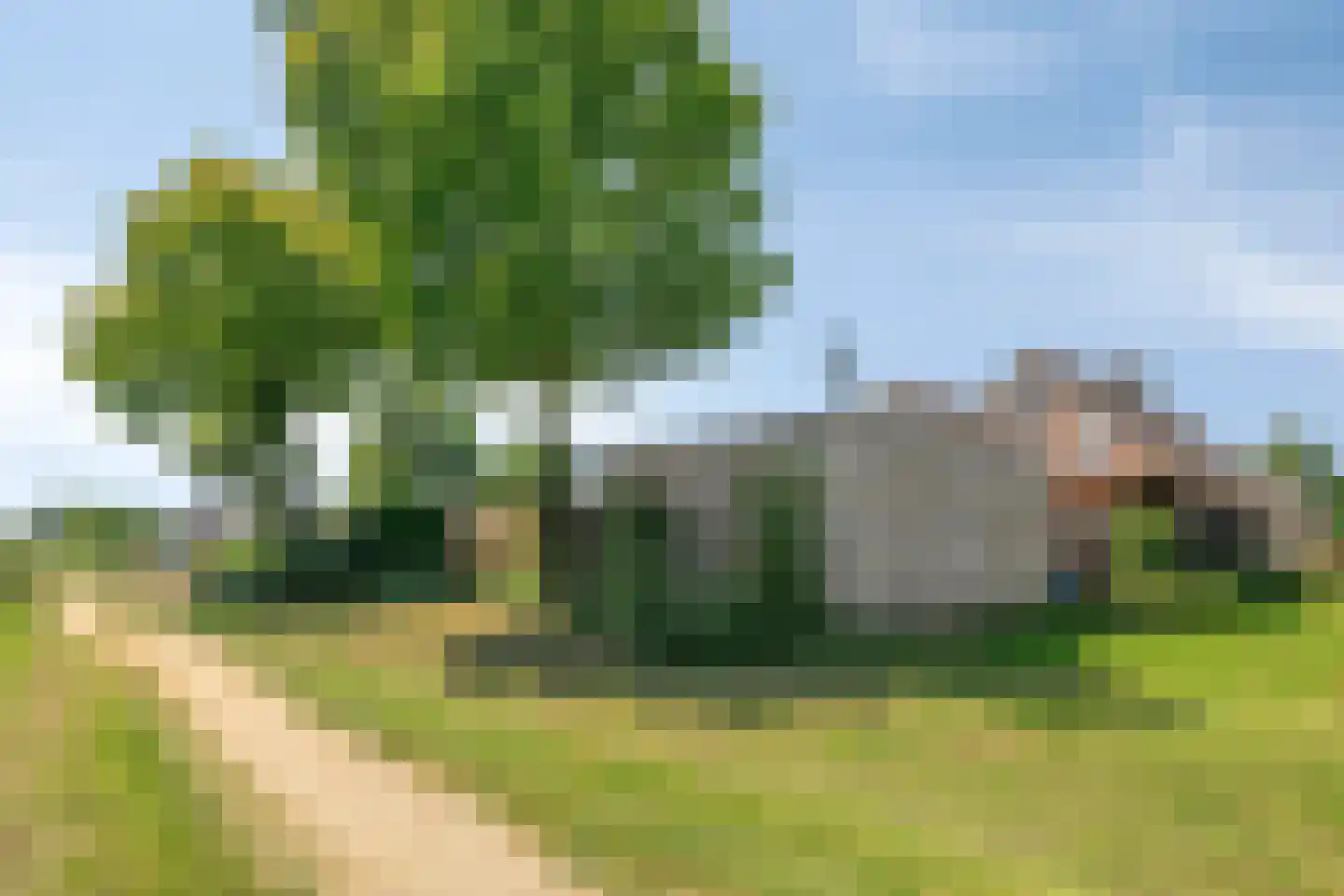 Graspieper 84 A IJsselmuiden thumbnail 71