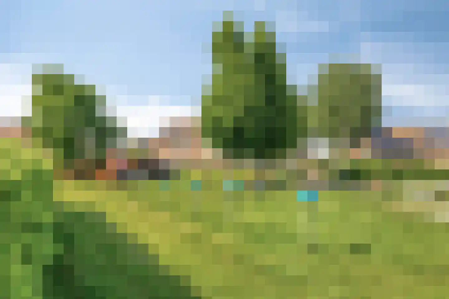 Graspieper 84 A IJsselmuiden thumbnail 72