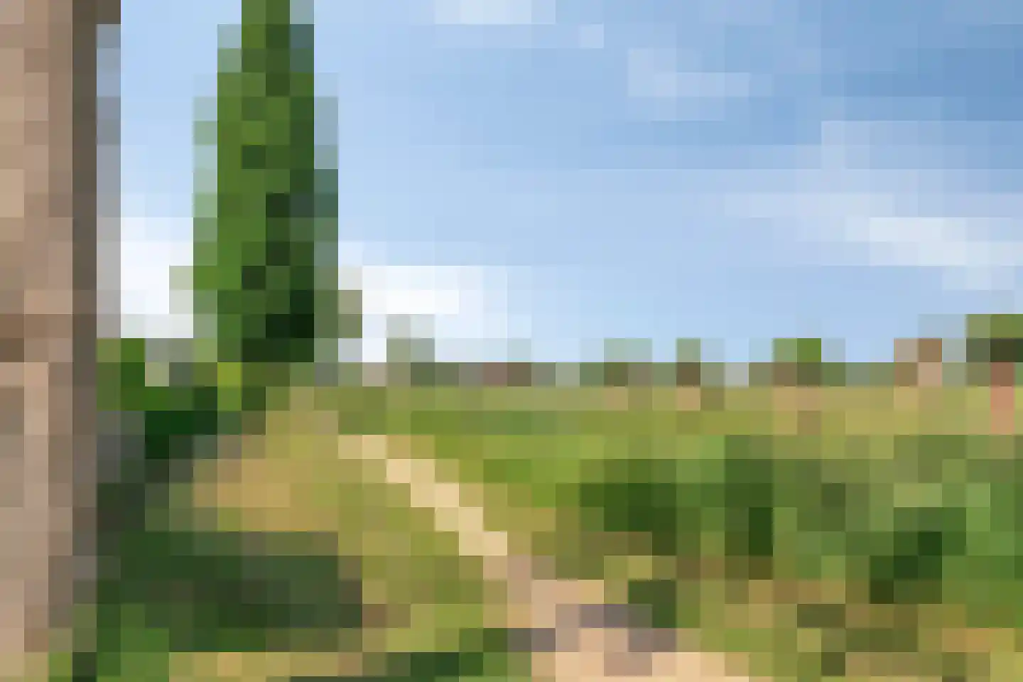 Graspieper 84 A IJsselmuiden thumbnail 73