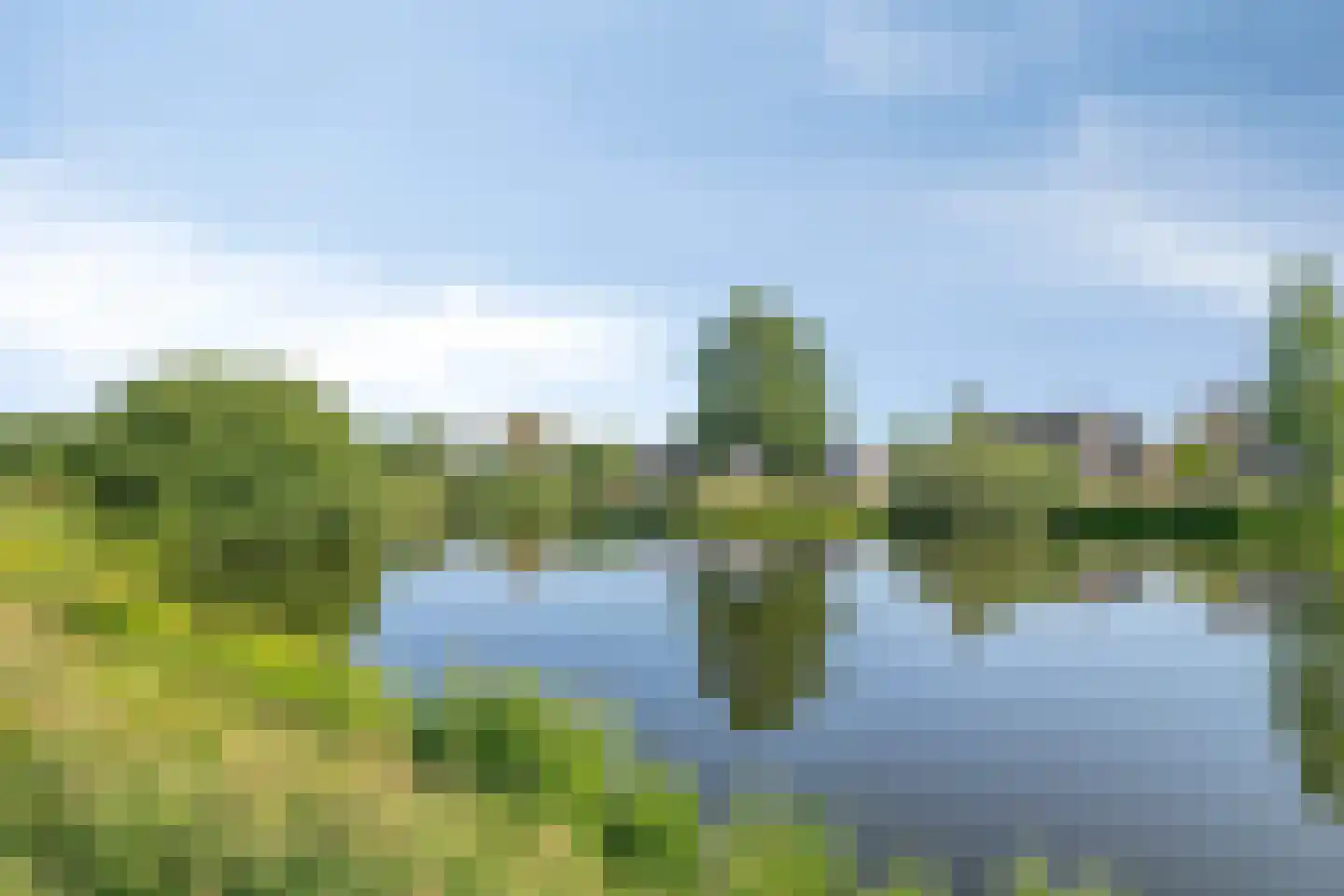 Graspieper 84 A IJsselmuiden thumbnail 74